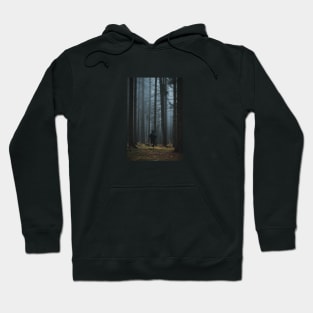 Forest Run Hoodie